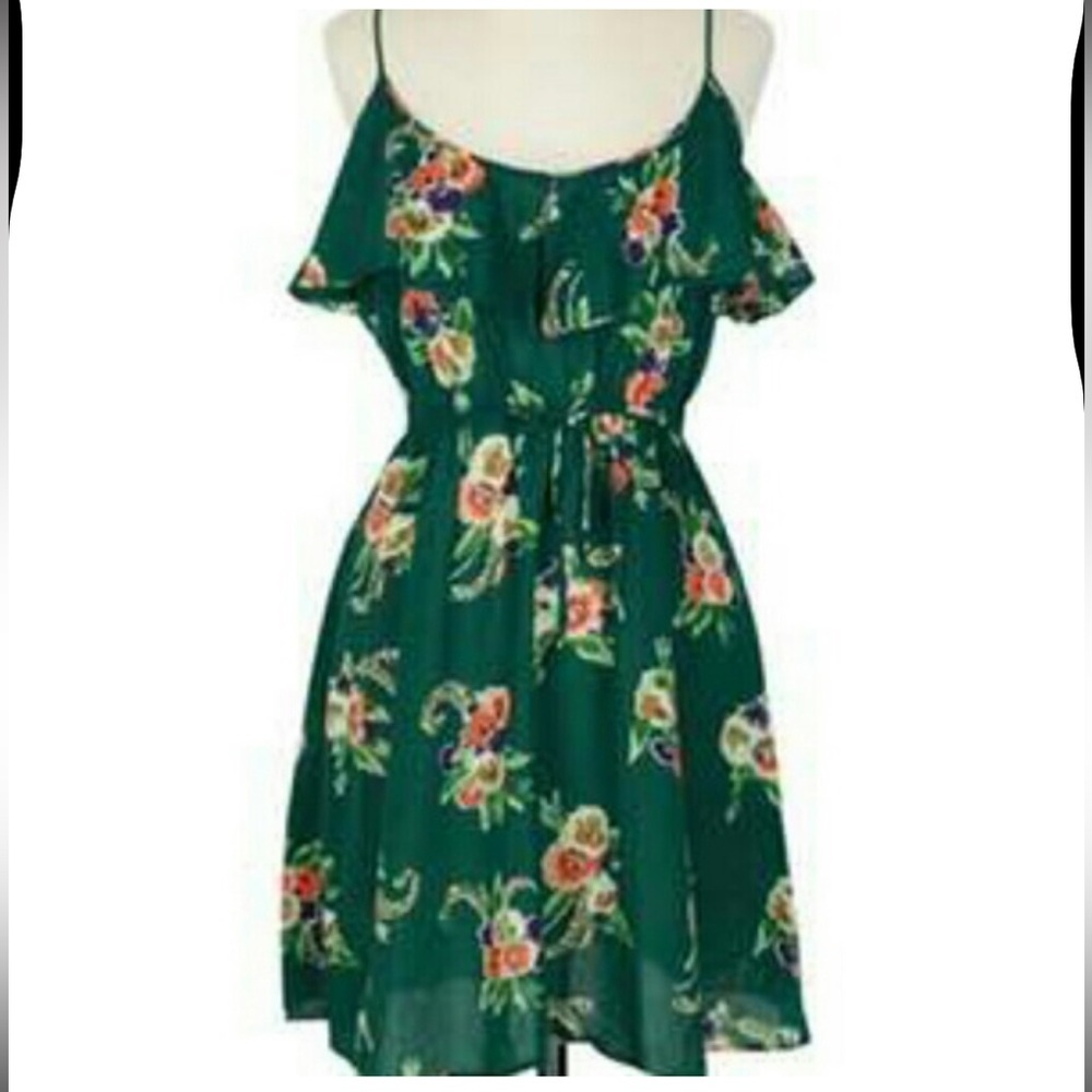Anthropologie Fleurette Meadow Dream Chemise Dress